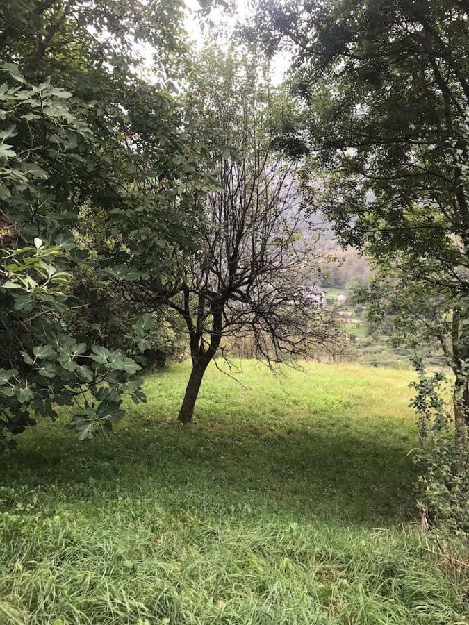 Vila Il Bilocale Della Nonna Locana Exteriér fotografie